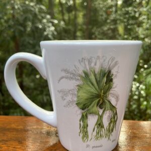 Stylish 350ml Platycerium grande coffee mug