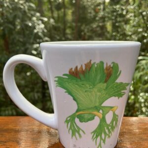 Trendy 350ml Platycerium superbum coffee mug