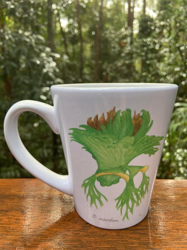 Trendy 350ml Platycerium superbum coffee mug